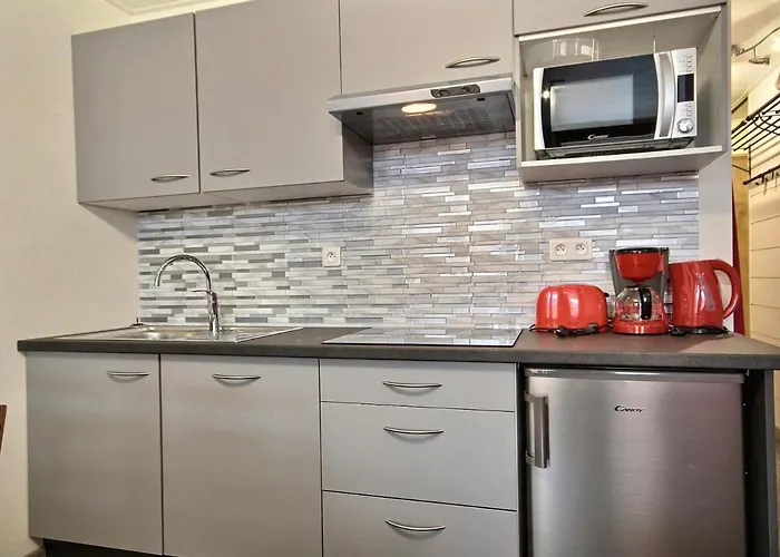 Renove, Proche Pistes, 4 Pers, Sans Ascenseur - Fr-1-455-91